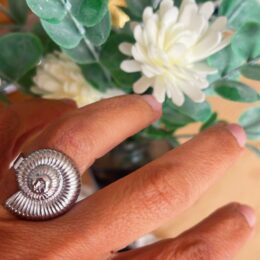 Anillo Caracola